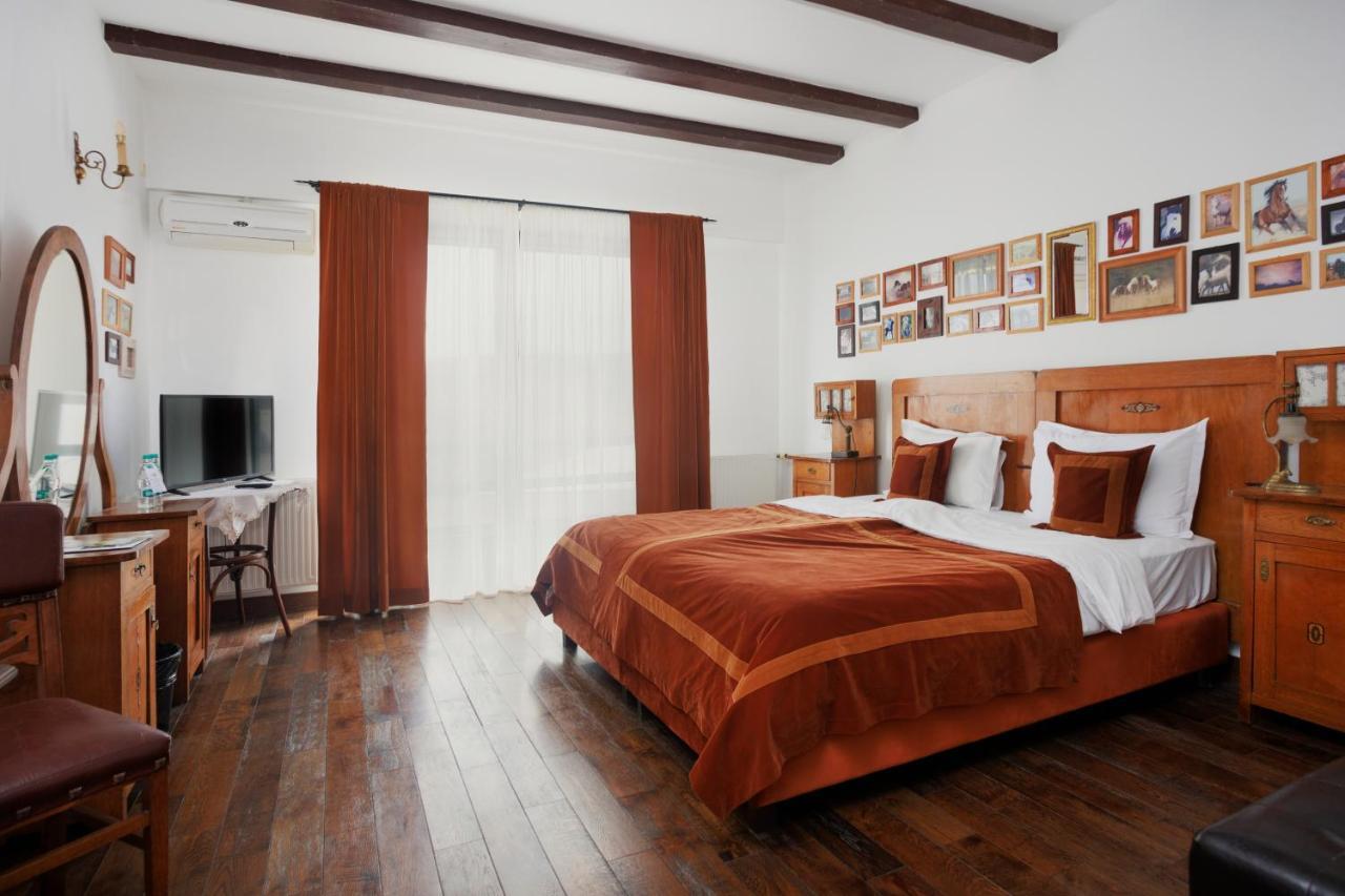 Conacul Archia Hotel Deva Buitenkant foto