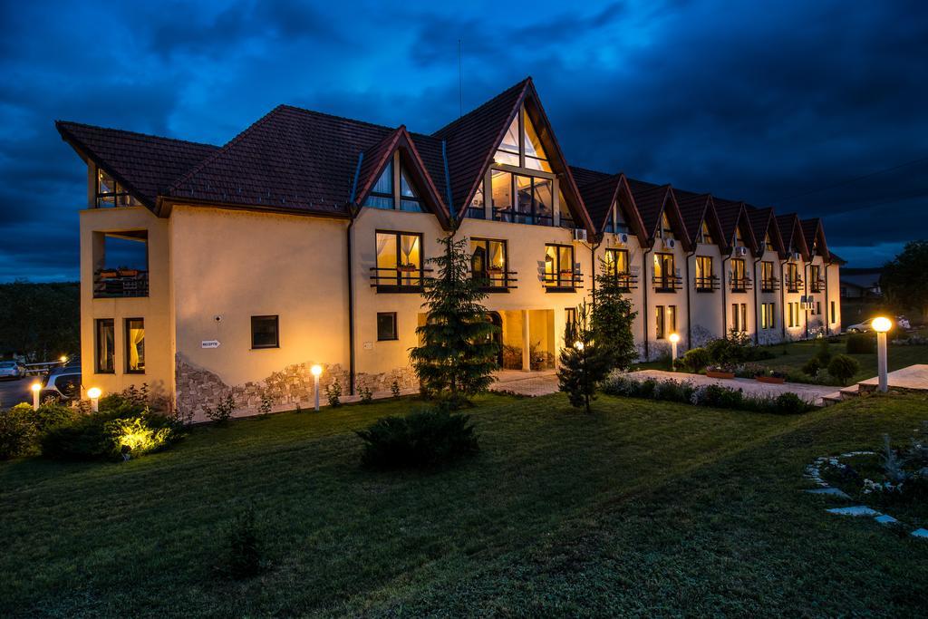 Conacul Archia Hotel Deva Buitenkant foto